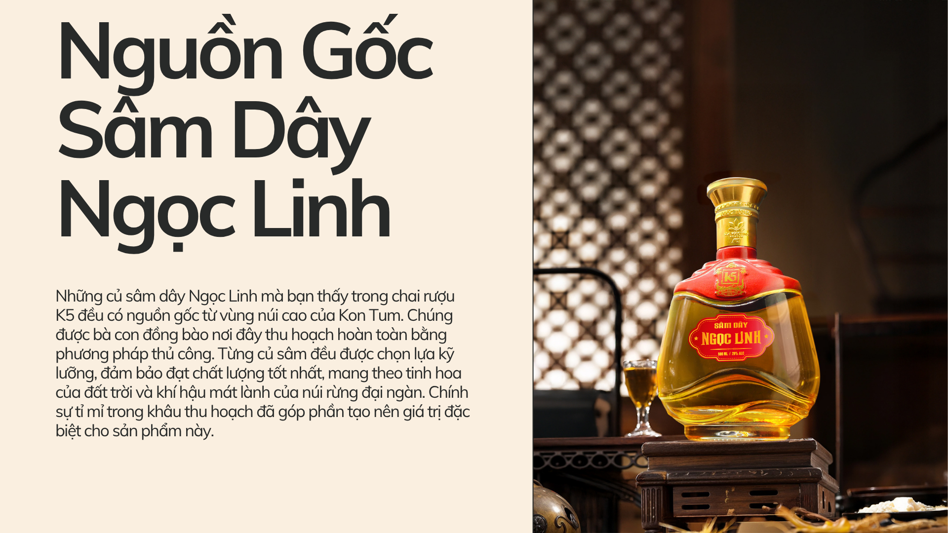 Nguồn gốc sâm dây ngọc linh